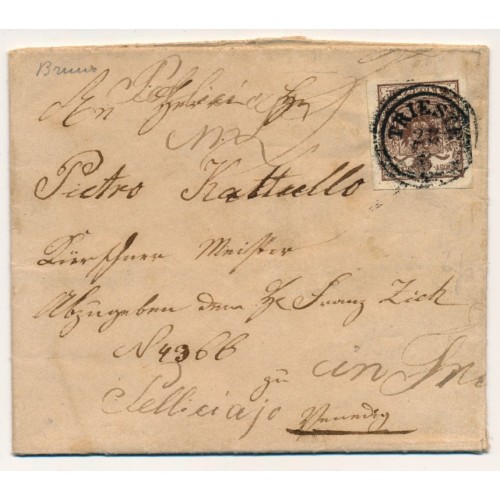 ÖSTERREICH 185. 6kr, ÜBERFÄRBTER DRUCK! Brief (Inhalt) TRIESTE. Schön!