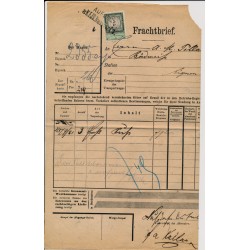 Österreich 1879 5kr, Stempelmarke auf Brief NUSSDORF nach BUDWEIS. Schön!