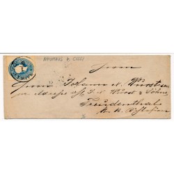 ÖSTERREICH 186. 15kr, Briefkuvert, NEUHAUS b. CILLI (St) Mü:20P!