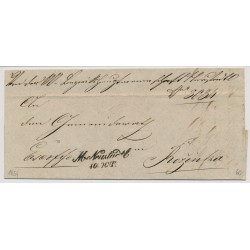 Österreich 1854 Brief (Inhalt) M.NEUSTADTL nach ROZINKA. Sehr schön!
